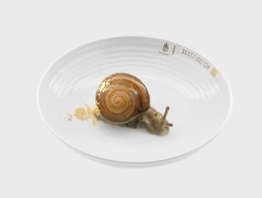 Nymphenburg - Animal bowl Snail