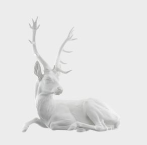 Stag lying - Stag lying
