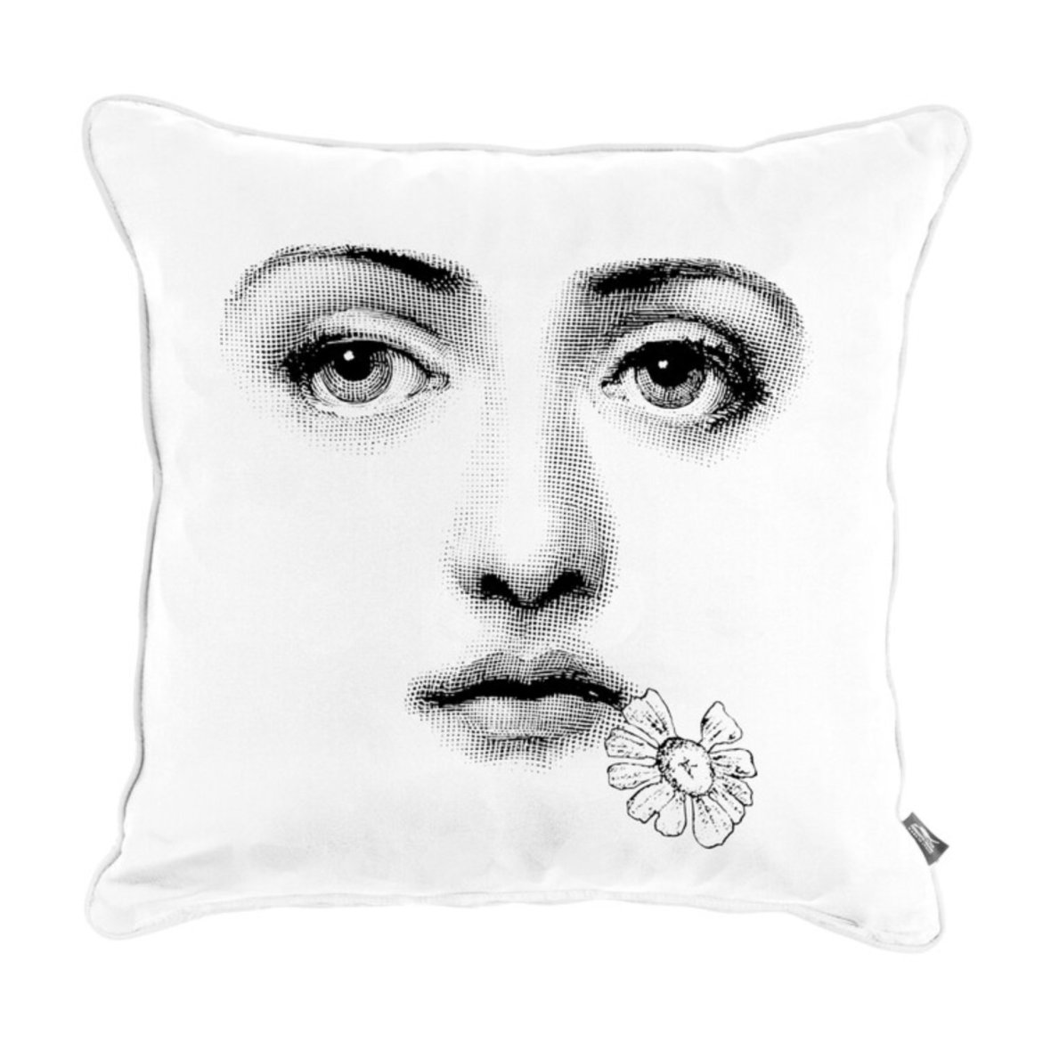 cushion-tema-e-variazioni-n-288