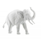 elephant-trunk-up