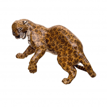 leopard-amidou