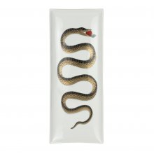 fornasetti-tray-rettangolare-serpente-black-gold-colour-on-white