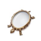 turtle-magnifying-glass