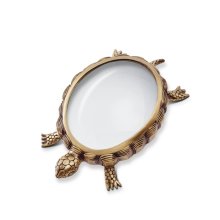 turtle-magnifying-glass