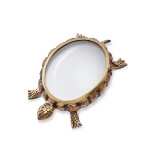 turtle-magnifying-glass