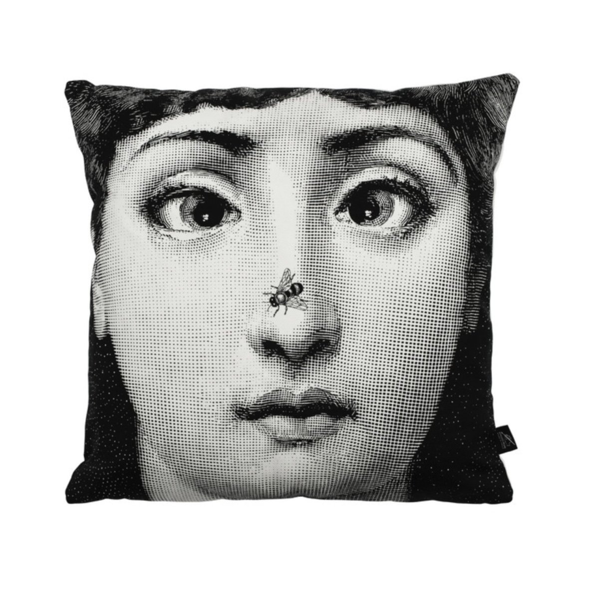 fornasetti-cushion-ape