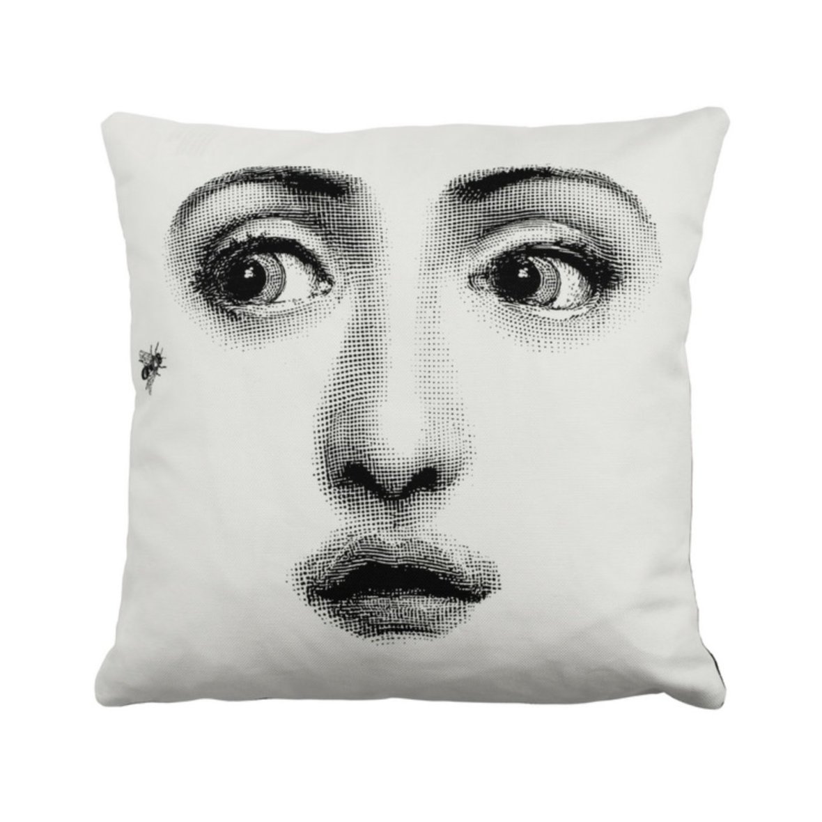 fornasetti-cushion-ape