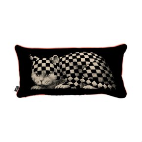 cushion-high-fidelity-25-x-50-cm