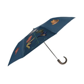 folding-umbrella-cappelli-colour
