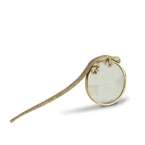 gecko-magnifying-glass