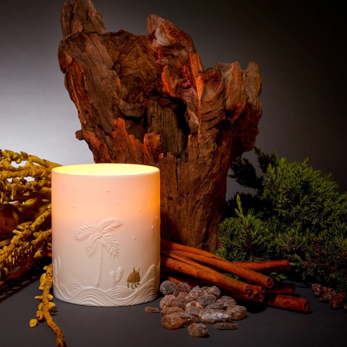 haas-mojave-palm-candle-1