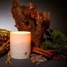 haas-mojave-palm-candle-1