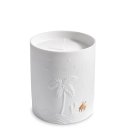haas-mojave-palm-candle-5