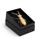 longhorn-bottle-opener-2