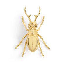 longhorn-bottle-opener