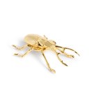 longhorn-bottle-opener-4