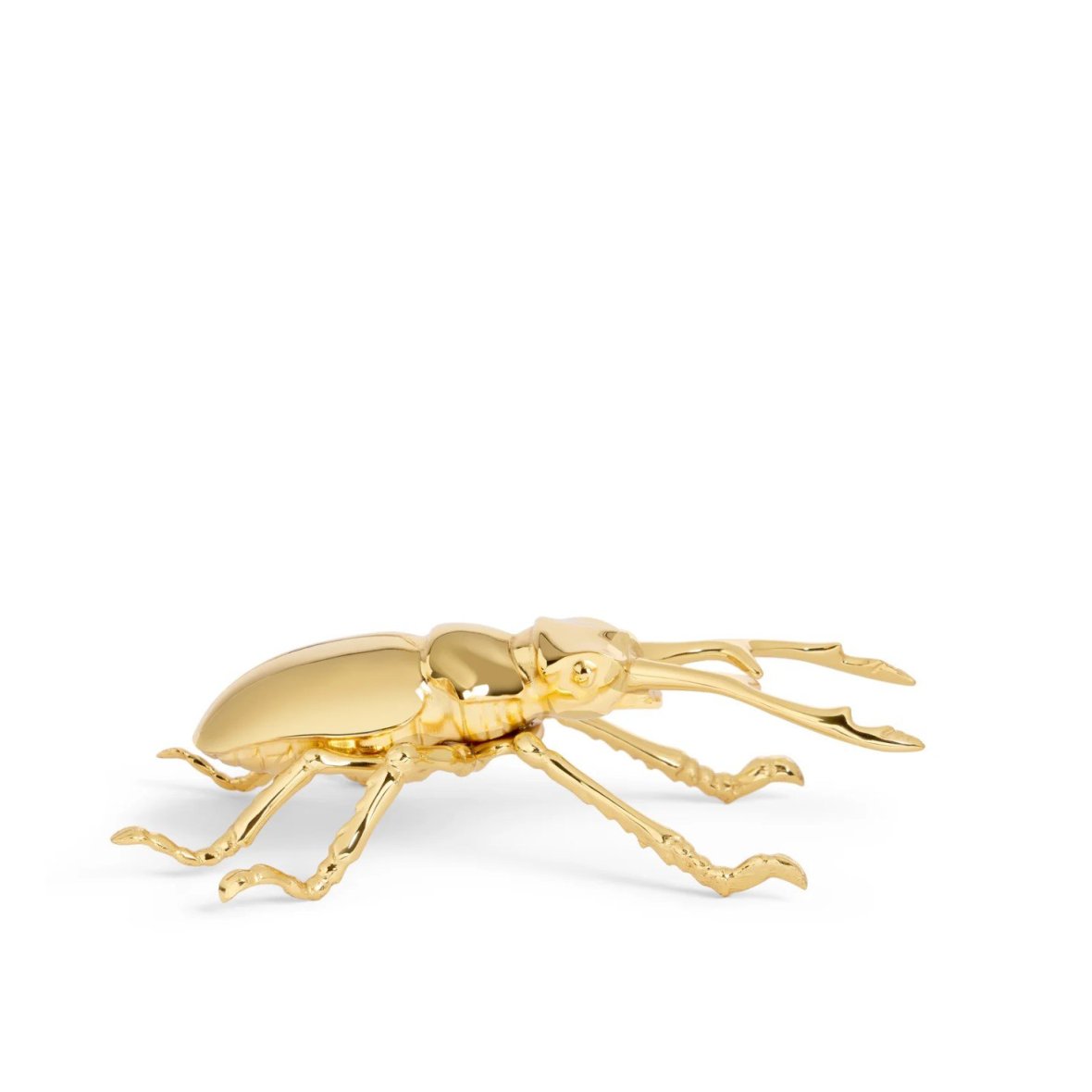 longhorn-bottle-opener-5