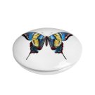 round-box-farfalle-black-colour-1
