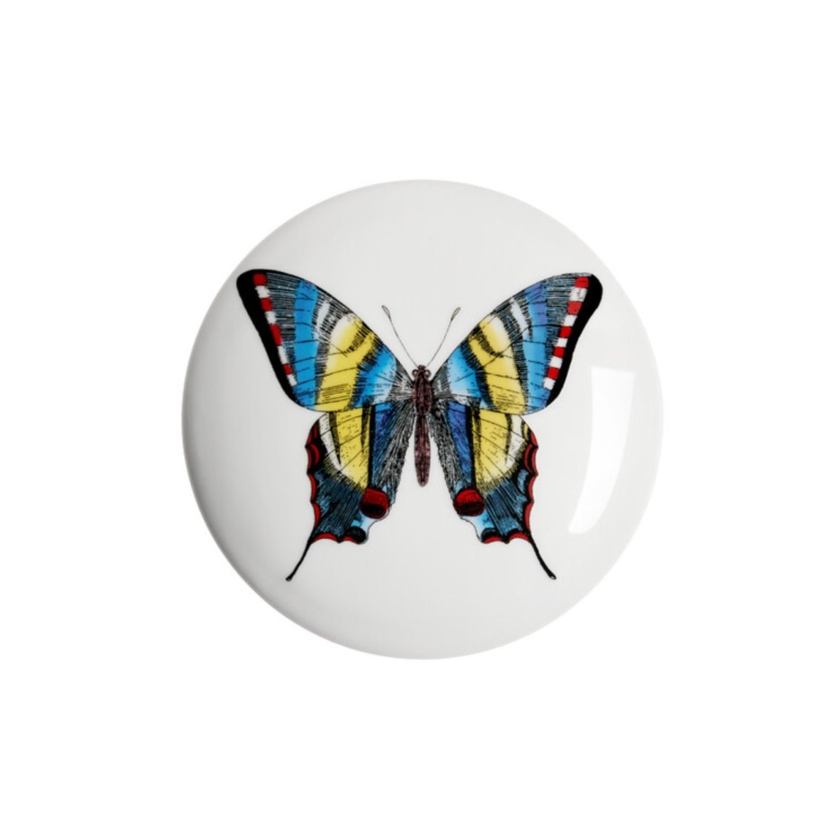 round-box-farfalle-black-colour-2