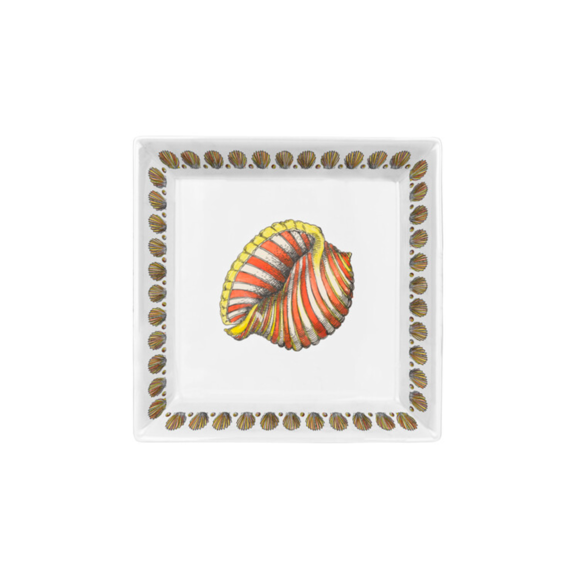 square-plate-20x20-giro-di-conchiglie-colourblackwhite