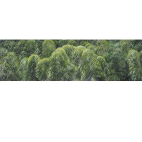 tranqullity-of-bamboo-45-x-150-cm-2022