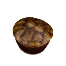 turtle-candle