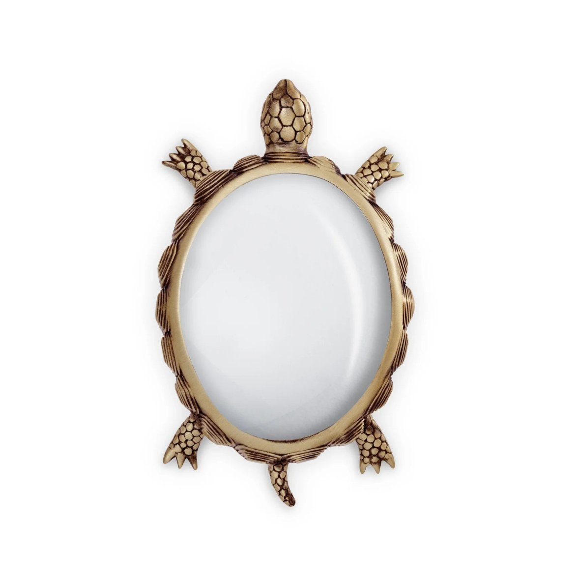 turtle-magnifying-glass-1