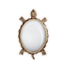 turtle-magnifying-glass-1