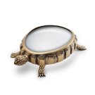 turtle-magnifying-glass-2