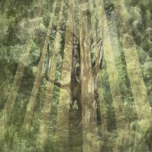 v-paprscich-150x140cm-acrylic-on-canvas-2025