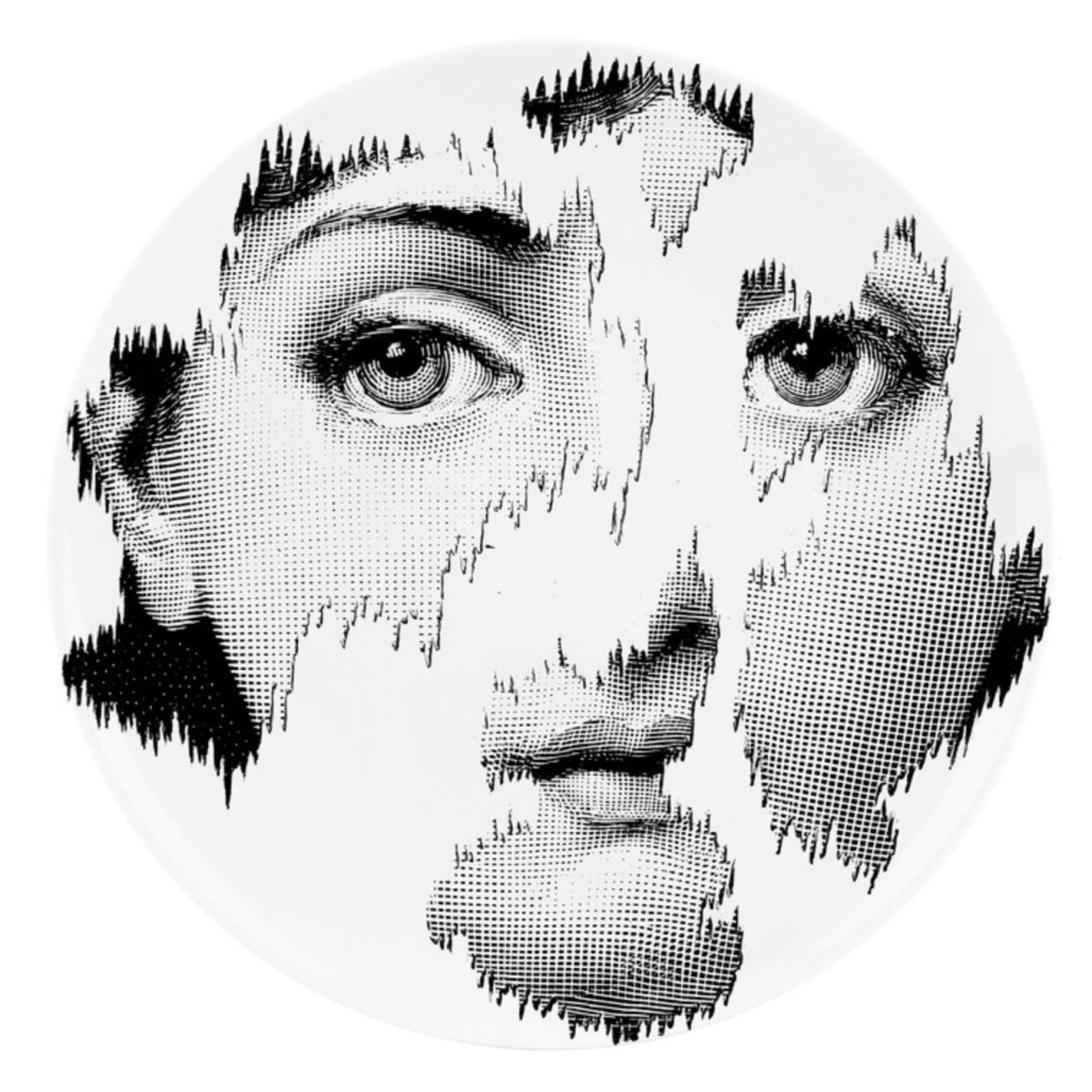 fornasetti-wall-plate-tema-e-variazioni-n-115-black-white